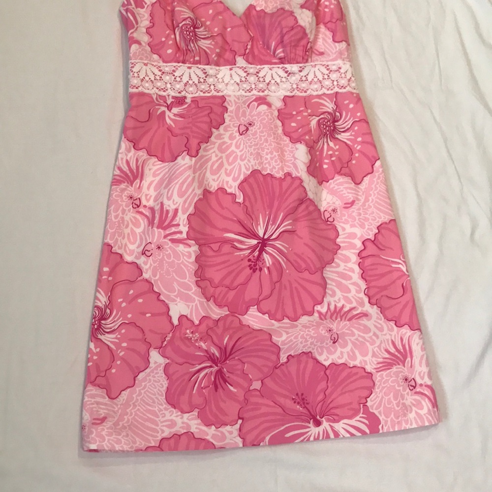 Lilly Pulitzer Dress - Picture 5 of 8